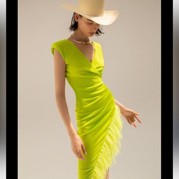 ANTONELLA RIZZA Eva Feather-Trim MIDI Dress Small - Picture 1 of 15